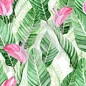 Watercolor seamless pattern. tropical leaves and flowers. green leaves of palm tree and pink flowers on a white background. jugli,