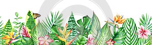 Watercolor seamless pattern with tropical leaves, plants and flowers