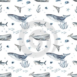 Watercolor seamless pattern with underwater creatures, sperm whale, whale, fish, shark, stingray in blue on a white background