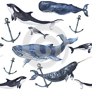 Watercolor seamless pattern with whales and anchor. Hand painted ornament with blue whale, narwhal, orca and sperm whale