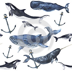 Watercolor seamless pattern with whales and anchor. Hand painted ornament with blue whale, narwhal, orca and sperm whale photo