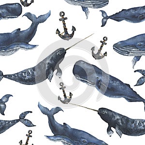 Watercolor seamless pattern with whales and anchor. Illustration with blue whales, cachalot and narwhal isolated on white