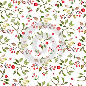 Watercolor seamless pattern withs red berries, green leaves.. Hand drawing floral illustration