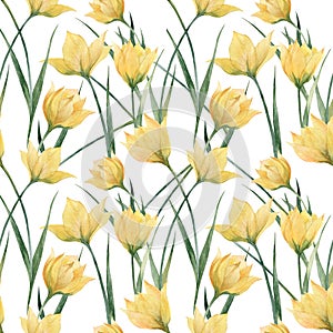 Watercolor seamless pattern Yellow Woodland Tulips