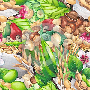 Watercolor seamless puttern of the coconuts, soy, rice, oats, hazelnuts, cashews and almonds