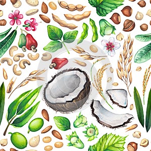 Watercolor seamless puttern of the coconuts, soy, rice, oats, hazelnuts, cashews and almonds