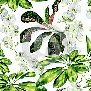 Watercolor seamless tropical pattern of schefflera, croton and white orchids flowers.