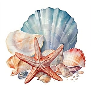 Watercolor of seashells, starfish, on an isolated white background, hand drawing illustration, summer sea clipart, Genertive AI