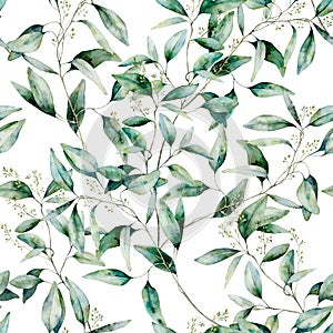 Watercolor seeded eucalyptus seamless pattern. Hand painted eucalyptus branch and leaves isolated on white background photo
