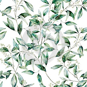 Watercolor seeded eucalyptus seamless pattern. Hand painted eucalyptus branch and leaves isolated on white background