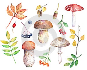 Watercolor set of autumn elements.