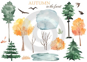 Watercolor set with autumn trees, bushes, pines, fir trees, puddle, grass, migratory birds photo