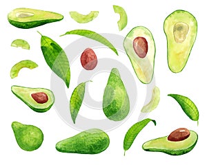 Watercolor set with avocado fruits half and slice, and leaves