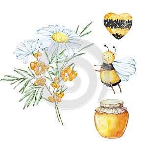 Watercolor set, bees, honey and bouquets of chamomile