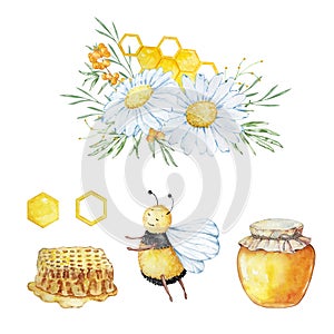 Watercolor set, bees, honeycombs and bouquets of chamomile