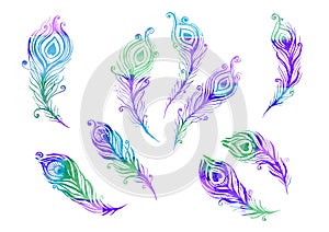Watercolor Set of birds feather elements in the style of line art on a white background. Purple, blue, green, turquoise