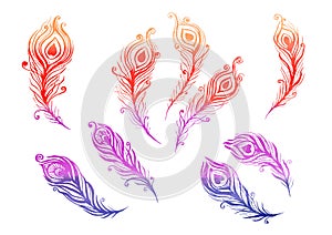 Watercolor Set of birds feather elements in the style of line art on a white background. Purple, blue, orange, pink and