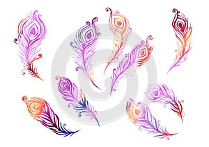 Watercolor Set of birds feather elements in the style of line art on a white background. Purple, red, orange, pink and