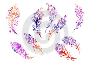 Watercolor Set of birds feather elements in the style of line art on a white background. Purple, red, orange, pink and