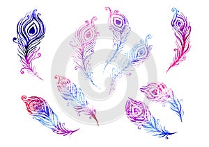 Watercolor Set of birds feather elements in the style of line art on a white background. Purple, red and violet feathers