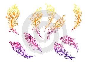 Watercolor Set of birds feather elements in the style of line art on a white background. Purple, yellow, orange, pink