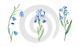 Watercolor set of blue flowers. Bluebell, iris, forget-me-not. Hand drawn botanical illustration isolated on white