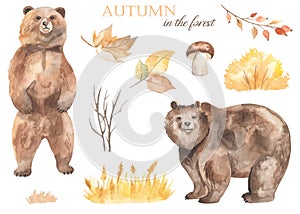 Watercolor set with brown bear, autumn leaves, berries, yellow glade, spikelets, grass, mushroom