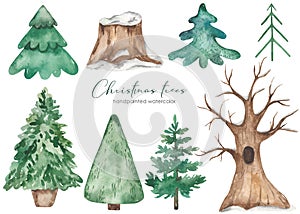 Watercolor set with Christmas trees, fir trees, oak under the snow, tree stump