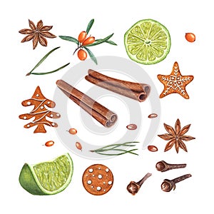 Watercolor set of cinnamons, star anise, lime slices, sea buckthorn berry, gingerbread cookie, spruce, cloves isolated on white