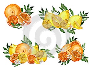 Watercolor set of citrus, lemon, orange. Citrus with green leaves. Lemon, orange isolate