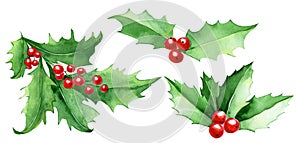 Watercolor set, collection of Christmas holly leaves. green leaves and red holly berries isolated on white background, christmas c