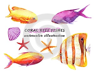 Watercolor set of colorful reef fishes, starfish and molluscs.