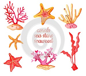 Watercolor set coral, seaweed, sea star