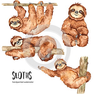 Watercolor set with cute animal sloths illustrations photo