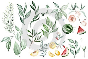 Watercolor set with different leaves and fruits.