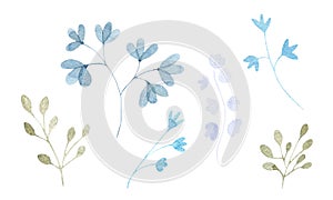 A watercolor set of different twigs and leaves, pastel delicate colors, isolated elements on a white background.