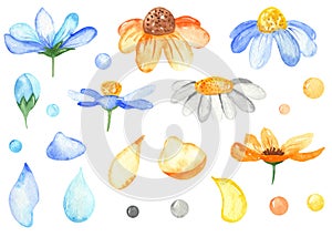 Watercolor set with flowers, blue, yellow petals. Hand painted clipart