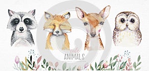 Watercolor set of forest cartoon isolated cute baby fox, deer, raccoon and owl animal with flowers. Nursery woodland photo