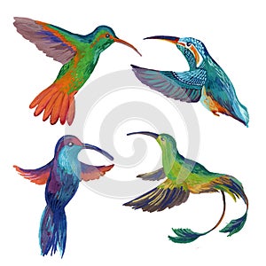 Watercolor set of four colibri.