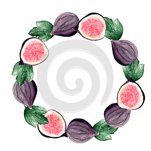 Watercolor set of fresh figs, slices of figs and leaves on a white background.