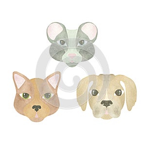 Watercolor set of funny animal faces - cat, dog and mouse, highlighted on a white background. Illustration. A set OF