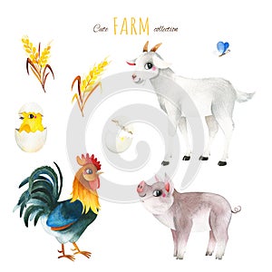 Watercolor set with funny animals-goat, rooster,piglet,butterfly,chicken.