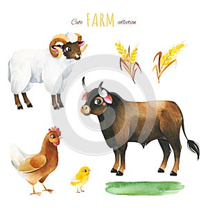 Watercolor set with funny animals-hen, chicken,ram,bull
