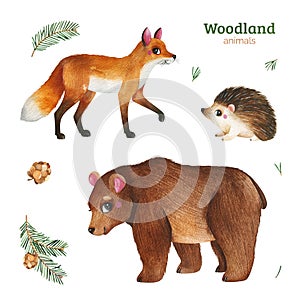 Watercolor set with funny forest animals-fox,brown bear,hedgehog,pine cone.