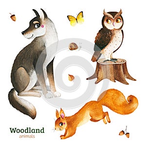 Watercolor set with funny forest animals-wolf,owl,snail,butterfly,squirrel.