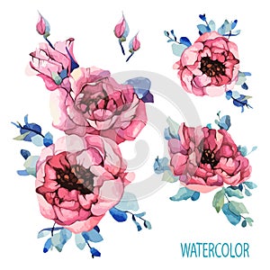 Watercolor set garden roses, pink peony, navy blue leaves, spring, summer elements. Floral, flowers decorations greeting,