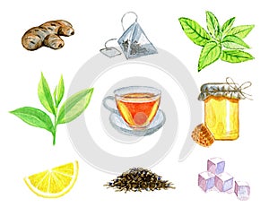 Watercolor set of ginger, teabag, mint, tea leaf, tea cup, bank of honey & honeycomb, lemon, dry tea and refined sugar