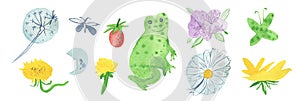Watercolor set of green frogs with purple wings,forest plants.Fantastic collection