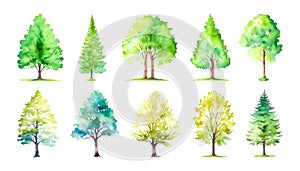 Watercolor Set Of Green Trees Isolated On White. Simple flat forest flora, coniferous and deciduous meadow trees