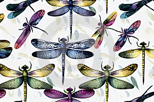 Watercolor set. illustration top view of dragonflies on white background. Generative AI